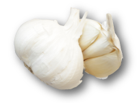 sec01_garlic