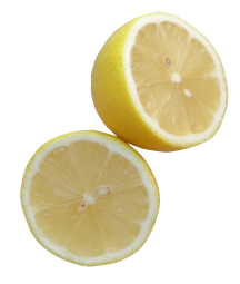 sec01_lemon_cut