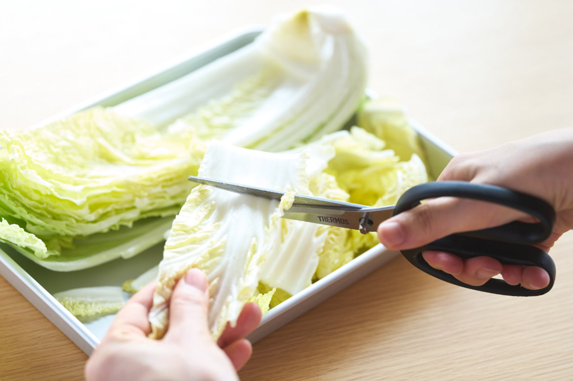 今回使うキッチンバサミは、サーモスのKK-HS001。軽くて扱いやすく、食洗機でも洗えるのが特徴