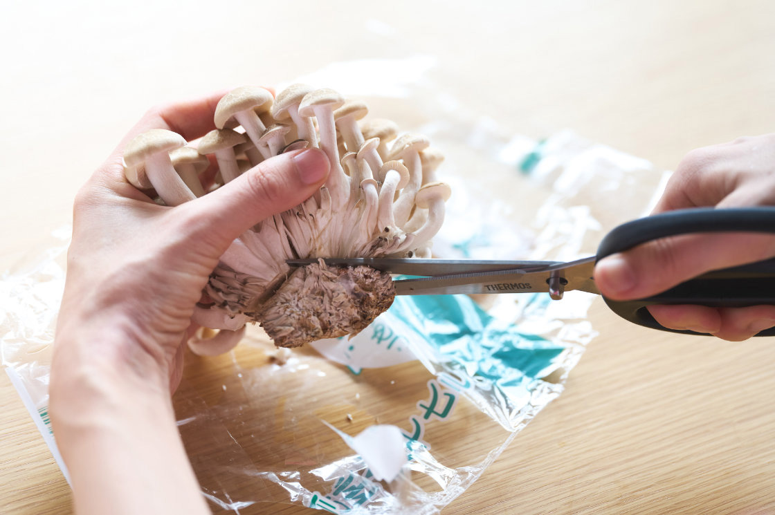 中心に向かって斜めに刃を入れると切り落としやすい